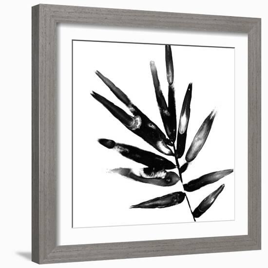 Monochrome Tropic IX-June Vess-Framed Art Print