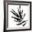 Monochrome Tropic IX-June Vess-Framed Art Print