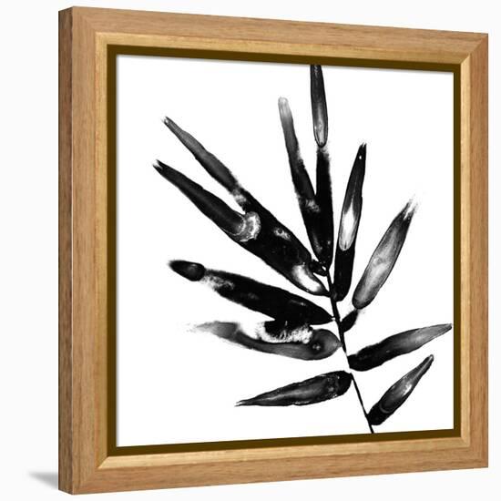 Monochrome Tropic IX-June Vess-Framed Stretched Canvas