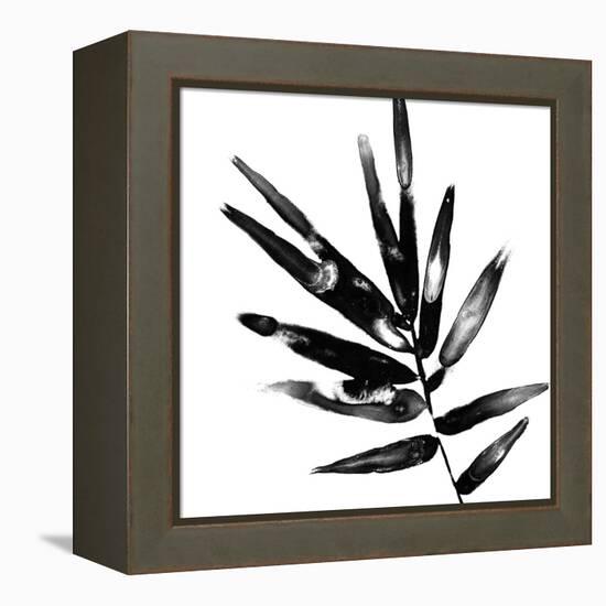 Monochrome Tropic IX-June Vess-Framed Stretched Canvas