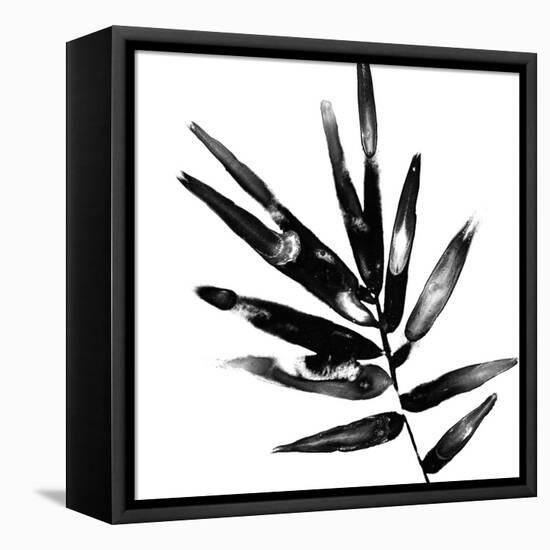 Monochrome Tropic IX-June Vess-Framed Stretched Canvas