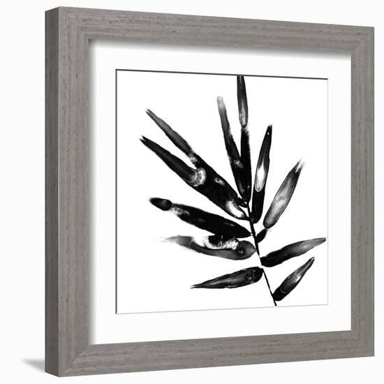 Monochrome Tropic IX-June Vess-Framed Art Print