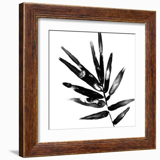 Monochrome Tropic IX-June Vess-Framed Art Print