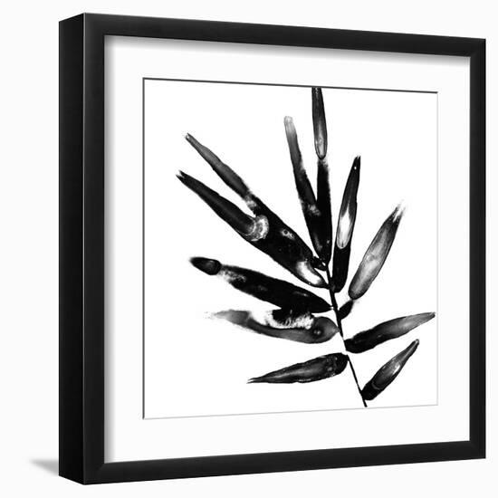 Monochrome Tropic IX-June Vess-Framed Art Print