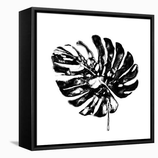 Monochrome Tropic V-June Vess-Framed Stretched Canvas