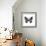 Monochrome Wings-Assaf Frank-Framed Giclee Print displayed on a wall