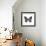 Monochrome Wings-Assaf Frank-Framed Giclee Print displayed on a wall