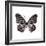 Monochrome Wings-Assaf Frank-Framed Giclee Print