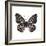 Monochrome Wings-Assaf Frank-Framed Giclee Print