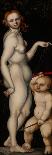 Venus and Cupid, C.1529-Monogrammist H. B.-Giclee Print