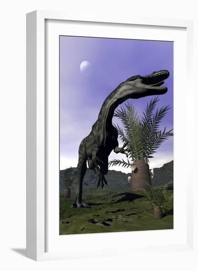 Monolophosaurus Dinosaur Roaring Next to Cycadeoidea Plant-Stocktrek Images-Framed Art Print