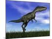 Premium Giclee Print