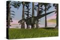 Stretched Canvas Print