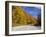 Monongahela National Forest at Route 250, Cheat Bridge, West Virginia, USA-Walter Bibikow-Framed Photographic Print