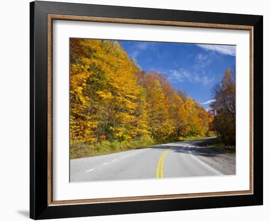 Monongahela National Forest at Route 250, Cheat Bridge, West Virginia, USA-Walter Bibikow-Framed Photographic Print