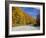 Monongahela National Forest at Route 250, Cheat Bridge, West Virginia, USA-Walter Bibikow-Framed Photographic Print