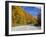 Monongahela National Forest at Route 250, Cheat Bridge, West Virginia, USA-Walter Bibikow-Framed Photographic Print