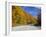 Monongahela National Forest at Route 250, Cheat Bridge, West Virginia, USA-Walter Bibikow-Framed Photographic Print