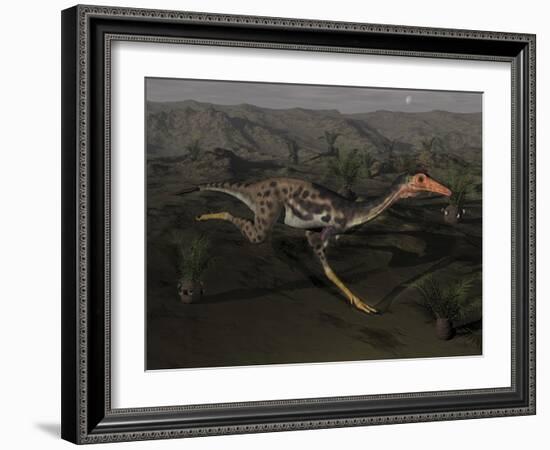 Mononykus Dinosaur Running at Night-Stocktrek Images-Framed Art Print