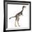 Mononykus Dinosaur Standing-Stocktrek Images-Framed Art Print