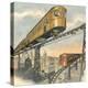 Stretched Canvas Print