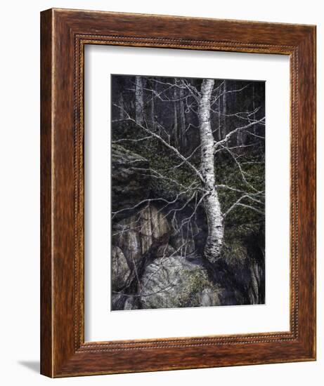 Monothesium-John Morrow-Framed Giclee Print