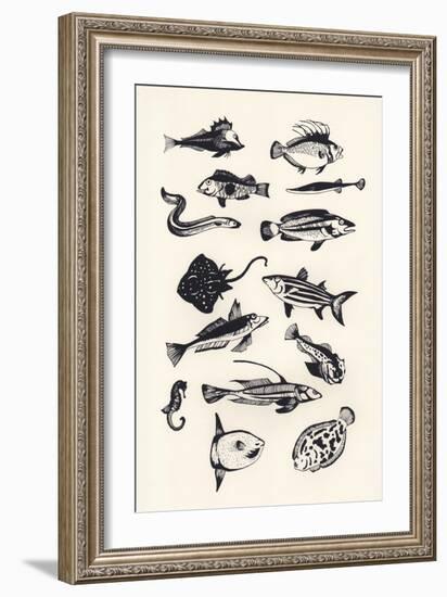 Monotone Plain Fish, 2015-Eliza Southwood-Framed Giclee Print