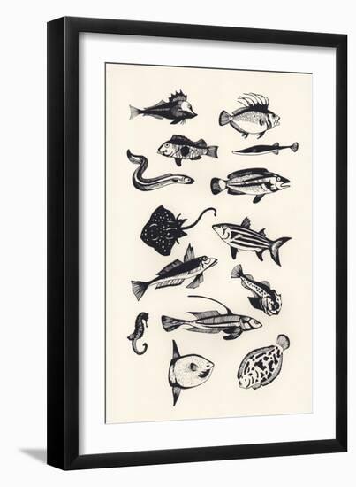 Monotone Plain Fish, 2015-Eliza Southwood-Framed Giclee Print