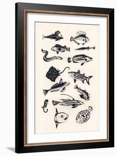 Monotone Plain Fish, 2015-Eliza Southwood-Framed Giclee Print