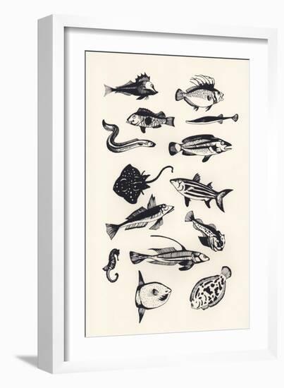 Monotone Plain Fish, 2015-Eliza Southwood-Framed Giclee Print