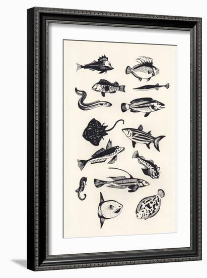 Monotone Plain Fish, 2015-Eliza Southwood-Framed Giclee Print