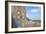 Monreale Cathedral, Monreale, Sicily, Italy, Europe-Marco Simoni-Framed Photographic Print