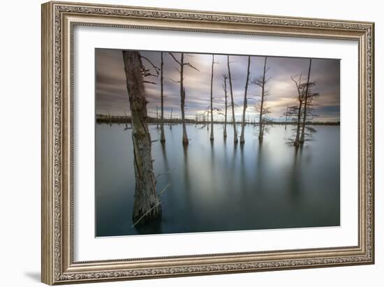 Monroe, LA: Black Bayou Lake, Part Of The National Wildlife Refuge & Fish & Wildlife Service-Ian Shive-Framed Photographic Print