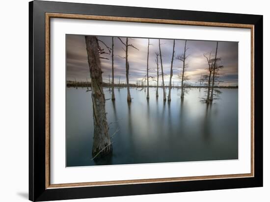 Monroe, LA: Black Bayou Lake, Part Of The National Wildlife Refuge & Fish & Wildlife Service-Ian Shive-Framed Photographic Print