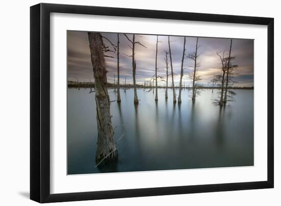 Monroe, LA: Black Bayou Lake, Part Of The National Wildlife Refuge & Fish & Wildlife Service-Ian Shive-Framed Photographic Print