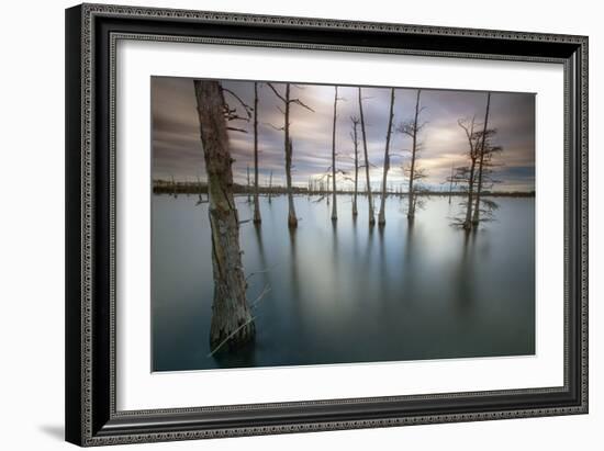 Monroe, LA: Black Bayou Lake, Part Of The National Wildlife Refuge & Fish & Wildlife Service-Ian Shive-Framed Photographic Print