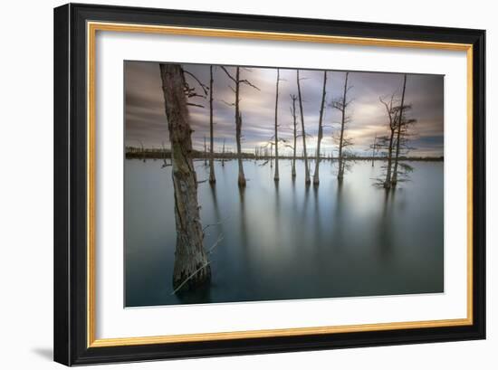 Monroe, LA: Black Bayou Lake, Part Of The National Wildlife Refuge & Fish & Wildlife Service-Ian Shive-Framed Photographic Print