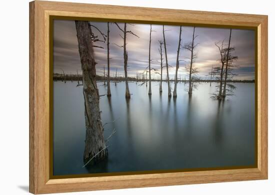 Monroe, LA: Black Bayou Lake, Part Of The National Wildlife Refuge & Fish & Wildlife Service-Ian Shive-Framed Premier Image Canvas