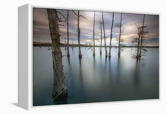 Monroe, LA: Black Bayou Lake, Part Of The National Wildlife Refuge & Fish & Wildlife Service-Ian Shive-Framed Premier Image Canvas