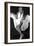 Monroe, Marilyn, 9999-null-Framed Art Print