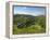 Monsal Dale and Railway Viaduct, Peak District National Park, Derbyshire, England, United Kingdom, -Neale Clark-Framed Premier Image Canvas