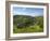 Monsal Dale and Railway Viaduct, Peak District National Park, Derbyshire, England, United Kingdom, -Neale Clark-Framed Photographic Print