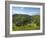 Monsal Dale and Railway Viaduct, Peak District National Park, Derbyshire, England, United Kingdom, -Neale Clark-Framed Photographic Print