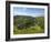 Monsal Dale and Railway Viaduct, Peak District National Park, Derbyshire, England, United Kingdom, -Neale Clark-Framed Photographic Print