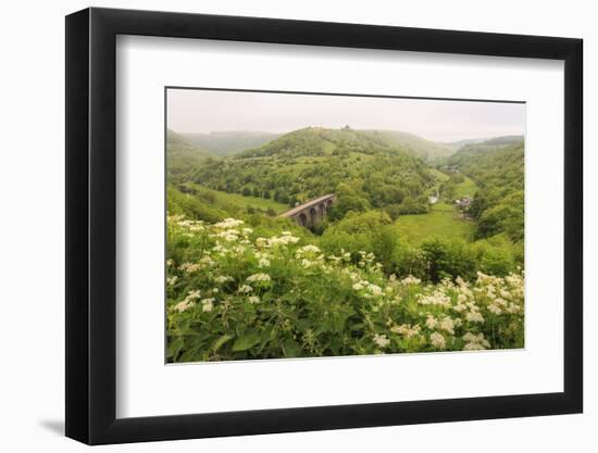 Monsal Trail Crosses Monsal Dale on Monsal Head Viaduct, Limestone Dale Scenery in Summer-Eleanor Scriven-Framed Photographic Print