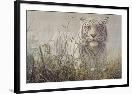 Monsoon- White Tiger (detail)-John Seerey-Lester-Framed Art Print