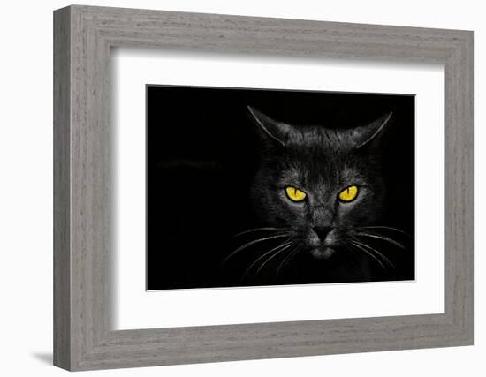 Monster Kill-Davorin Baloh-Framed Premium Photographic Print