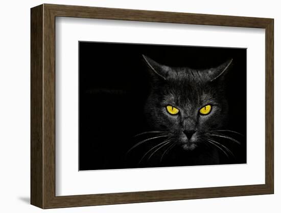 Monster Kill-Davorin Baloh-Framed Premium Photographic Print