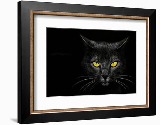 Monster Kill-Davorin Baloh-Framed Premium Photographic Print