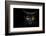 Monster Kill-Davorin Baloh-Framed Premium Photographic Print